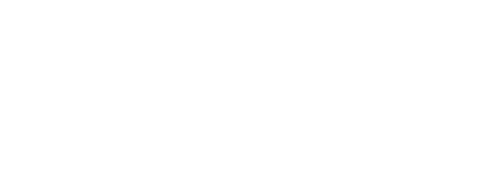 Logo Lianes Marketig weiß